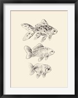 Goldfish I Fine Art Print