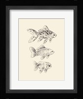 Goldfish I Framed Print