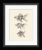 Goldfish II Framed Print