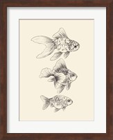 Goldfish III Fine Art Print