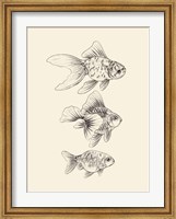 Goldfish III Fine Art Print