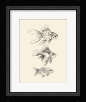 Goldfish III Framed Print