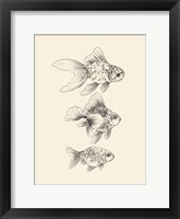 Goldfish III Framed Print