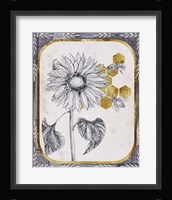 Pursue Sweetness V Framed Print