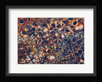 Layers Of Worn Auto Paint Abstract 1 Fine Art Print