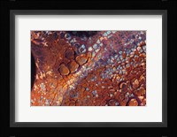 Layers Of Worn Auto Paint Abstract 2 Fine Art Print