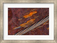 Rust Abstract Fine Art Print