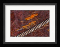 Rust Abstract Fine Art Print