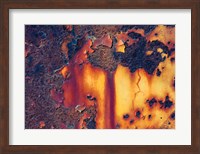 Details Of Rust And Paint On Metal 1 Fine Art Print