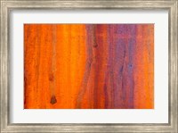Details Of Rust And Paint On Metal 5 Fine Art Print