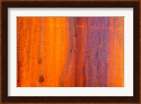 Details Of Rust And Paint On Metal 5 Fine Art Print