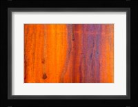 Details Of Rust And Paint On Metal 5 Fine Art Print