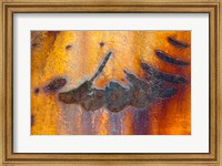 Details Of Rust And Paint On Metal 6 Fine Art Print