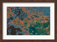 Details Of Rust And Paint On Metal 17 Fine Art Print