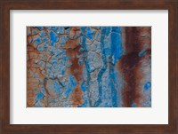 Details Of Rust And Paint On Metal 26 Fine Art Print