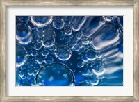 Frozen Bubbles 2 Fine Art Print