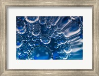 Frozen Bubbles 2 Fine Art Print