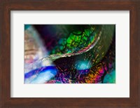 Macro Of Colorful Glass 2 Fine Art Print