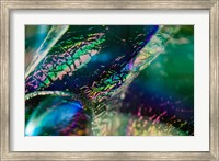Macro Of Colorful Glass 4 Fine Art Print