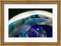 Macro Of Colorful Glass 5 Fine Art Print