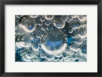 Frozen Bubbles 5 Fine Art Print