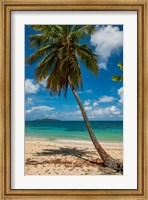 Cramer Park Beach, St Croix, US Virgin Islands Fine Art Print
