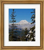 Mount Garibaldi From The Chief Overlook At The Summit Of The Sea To Sky Gondola Fine Art Print