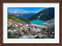 British Columbia, Meltwater Stream Flows Past Wildflowers Into Upper Joffre Lake Fine Art Print