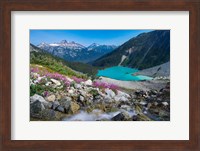 British Columbia, Meltwater Stream Flows Past Wildflowers Into Upper Joffre Lake Fine Art Print
