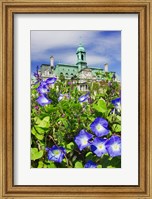 USA, Montreal View Of City Hall Building Behind Flowers Fine Art Print