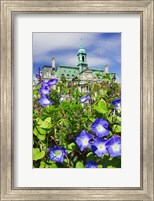 USA, Montreal View Of City Hall Building Behind Flowers Fine Art Print