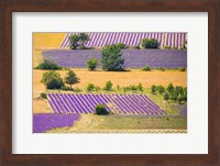 France, Provence, Sault Plateau Overview Of Lavender Crop Patterns And Wheat Fields Fine Art Print