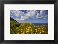 Europe, Greece, Santorini Wildflowers And Ocean Landscape Fine Art Print