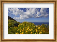 Europe, Greece, Santorini Wildflowers And Ocean Landscape Fine Art Print