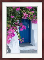 Greece, Santorini A Picturesque Blue Door Is Surrounded By Pink Bougainvillea In Firostefani Fine Art Print