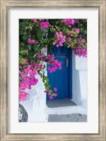 Greece, Santorini A Picturesque Blue Door Is Surrounded By Pink Bougainvillea In Firostefani Fine Art Print