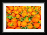 Oranges Displayed In Market In Shepherd's Bush, Londo Fine Art Print