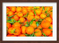 Oranges Displayed In Market In Shepherd's Bush, Londo Fine Art Print