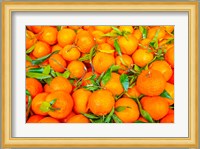 Oranges Displayed In Market In Shepherd's Bush, Londo Fine Art Print