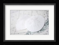 Sand Dollars On Nautical Chart Fine Art Print