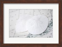 Sand Dollars On Nautical Chart Fine Art Print