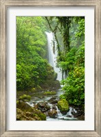 Costa Rica, La Paz Waterfall Garden Rainforest Waterfall And Stream Fine Art Print