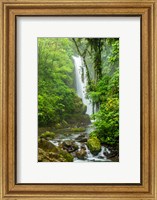 Costa Rica, La Paz Waterfall Garden Rainforest Waterfall And Stream Fine Art Print