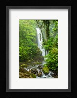 Costa Rica, La Paz Waterfall Garden Rainforest Waterfall And Stream Fine Art Print