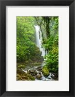 Costa Rica, La Paz Waterfall Garden Rainforest Waterfall And Stream Fine Art Print