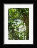 Costa Rica, Sarapiqui River Valley, Rio Puerto Viejo River In Rainforest Fine Art Print
