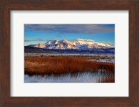 California White Mountains And Reeds In Pond Fine Art Print