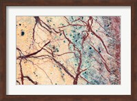 California Detail Of Cut Slab Of Marble Rock Fine Art Print