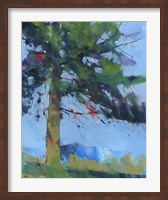 Gilfach Pine Fine Art Print