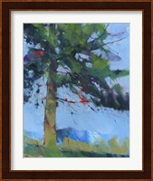 Gilfach Pine Fine Art Print